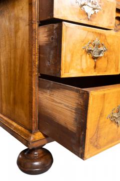 Queen Anne Walnut Double Dome Bureau Bookcase - 4323049