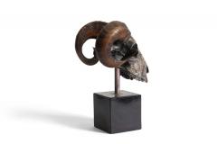 Rams Skull Silver Plated - 2548894
