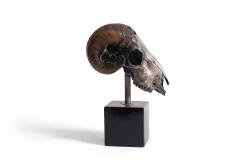 Rams Skull Silver Plated - 2548899