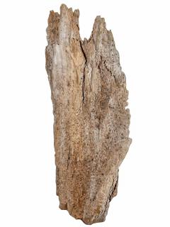 Rare 300 Year Old Natural Cypress Sculpture - 4656651
