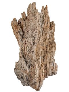 Rare 300 Year Old Natural Cypress Sculpture - 4656664