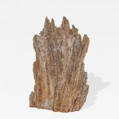 Rare 300 Year Old Natural Cypress Sculpture - 4659686