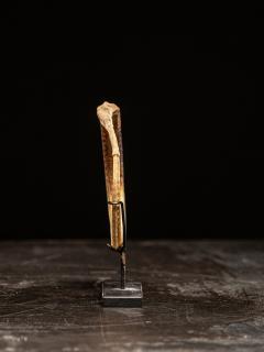 Rare Ceremonial Hippocamp Bracelet mounted on a custom metal stand Oceania - 4511964