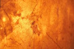 Rare Mid Century Table Lamp in Goatskin and Wrought Iron 1950s - 4396294