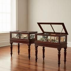 Rare Pair of Anglo Indian Teak Vitrine Display Tables Cabinets 19th century - 4502256