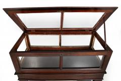 Rare Pair of Anglo Indian Teak Vitrine Display Tables Cabinets 19th century - 4502260