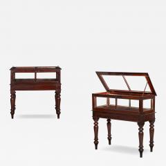 Rare Pair of Anglo Indian Teak Vitrine Display Tables Cabinets 19th century - 4504285