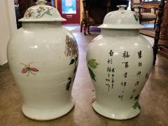 Rare Pair of Antique Chinese Lidded Ginger Jars - 1707900