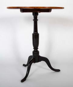 Rare Pair of Burl Elm Oval Tilt Top Stands - 4217687