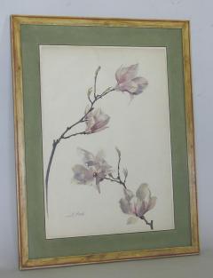 Rare Set of Floral Watercolors by Accard - 519596