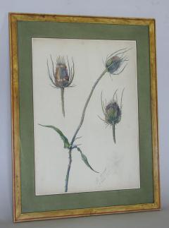 Rare Set of Floral Watercolors by Accard - 519603