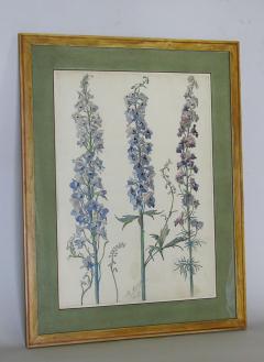 Rare Set of Floral Watercolors by Accard - 519607