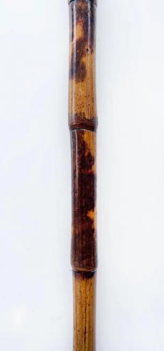 Rattan Walking Stick Gold CAP Monogrammed Christmas 1895 Bamboo - 3589966