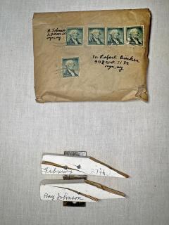 Ray Johnson Mail Art Early Conceptual Art Neo Dada and Early Pop Art - 4740237