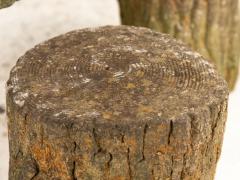 Reconstituted Stone Faux Bois Table and Stools France Mid 20th Century 20 5 h - 3930606