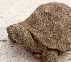 Reconstituted Stone Tortoise or Turtle Garden Ornament - 3219984