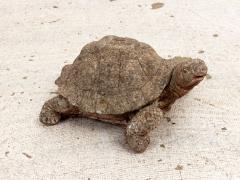 Reconstituted Stone Tortoise or Turtle Garden Ornament - 3219986