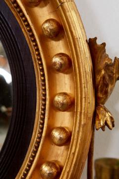 Regency Convex Giltwood Mirror - 2916656