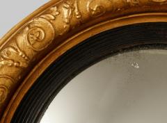 Regency Giltwood Convex Mirror - 3311488