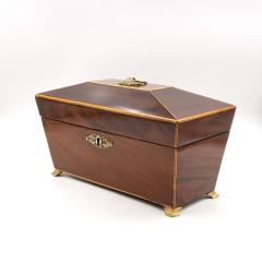 Regency Mahogany Box with Satinwood Edging and Brass Basket Pull - 4620344
