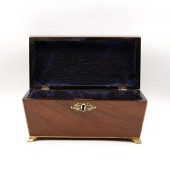 Regency Mahogany Box with Satinwood Edging and Brass Basket Pull - 4620350