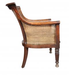 Regency Mahogany Caned Tub Chair - 4260871