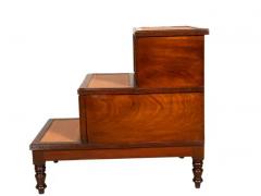 Regency Mahogany Library Steps - 4143944