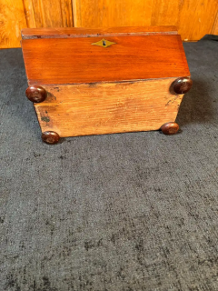 Regency Mahogany Sarcophagus form Tea Caddy - 2646774