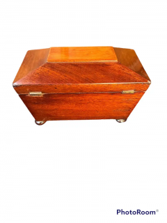 Regency Mahogany Sarcophagus form Tea Caddy - 2646778