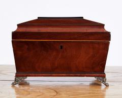 Regency Mahogany Tea Caddy - 3411047