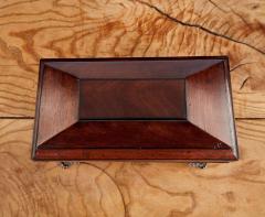 Regency Mahogany Tea Caddy - 3411052