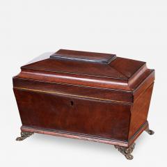 Regency Mahogany Tea Caddy - 3412260