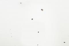 Regency Period Gilded Pier Mirror with Lion s Mask early 19th century - 4500794