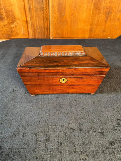 Regency Rosewood Sarcophagus Form Tea Caddy - 2646795