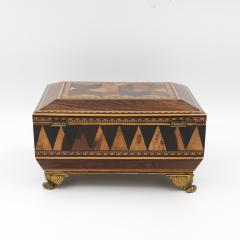 Regency Rosewood Specimen Box on Gilt Lion Paw Feet Circa 1810 - 4463361