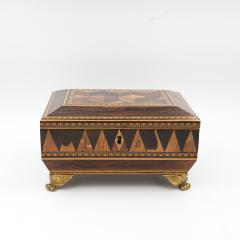 Regency Rosewood Specimen Box on Gilt Lion Paw Feet Circa 1810 - 4463364