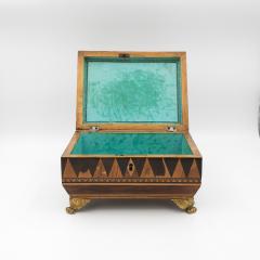 Regency Rosewood Specimen Box on Gilt Lion Paw Feet Circa 1810 - 4463367