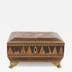 Regency Rosewood Specimen Box on Gilt Lion Paw Feet Circa 1810 - 4464000