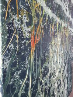 Reiner Heidorn Steppefire - 4377519