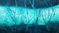 Reiner Heidorn Wetland - 4377624