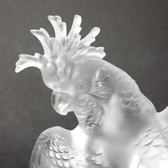 Ren Lalique Lalique Co Mid Century Modernist Sculptural Crystal Cockatiel Sculpture Signed Lalique - 4622627