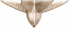 Ren Lalique Lalique Co R Lalique Fougeres Chandelier - 3941826