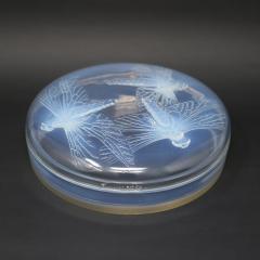 Ren Lalique Lalique Co Rene Lalique Opalescent Glass Libellules Box - 2772823