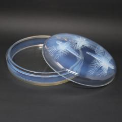 Ren Lalique Lalique Co Rene Lalique Opalescent Glass Libellules Box - 2772827