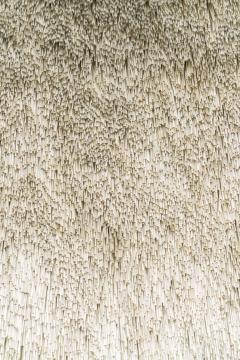 Renata Schirm Renata Schirm Daylight FI 2019 - 4027288