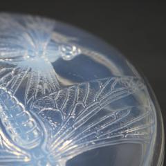 Rene Lalique Opalescent Glass Libellules Box - 4044793