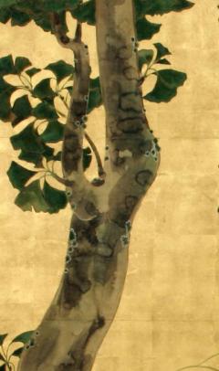 Rinpa School Gingko Tree and Seasonal Flowers 19th century - 2586817