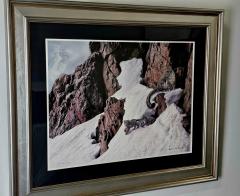 Robert Copple Robert Copple Wild Life Lithograph Limited Edition Hand Signed Framed - 3894214