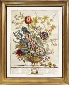 Robert Furber Twelve Months of Flowers - 1202535