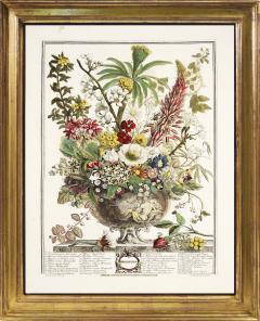 Robert Furber Twelve Months of Flowers - 1202540